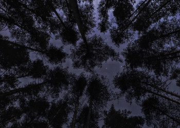 2 – фотографии России