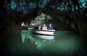 Туристы начали любоваться пещерами Вайтомо в 1889 году – фотографии Новой Зеландии