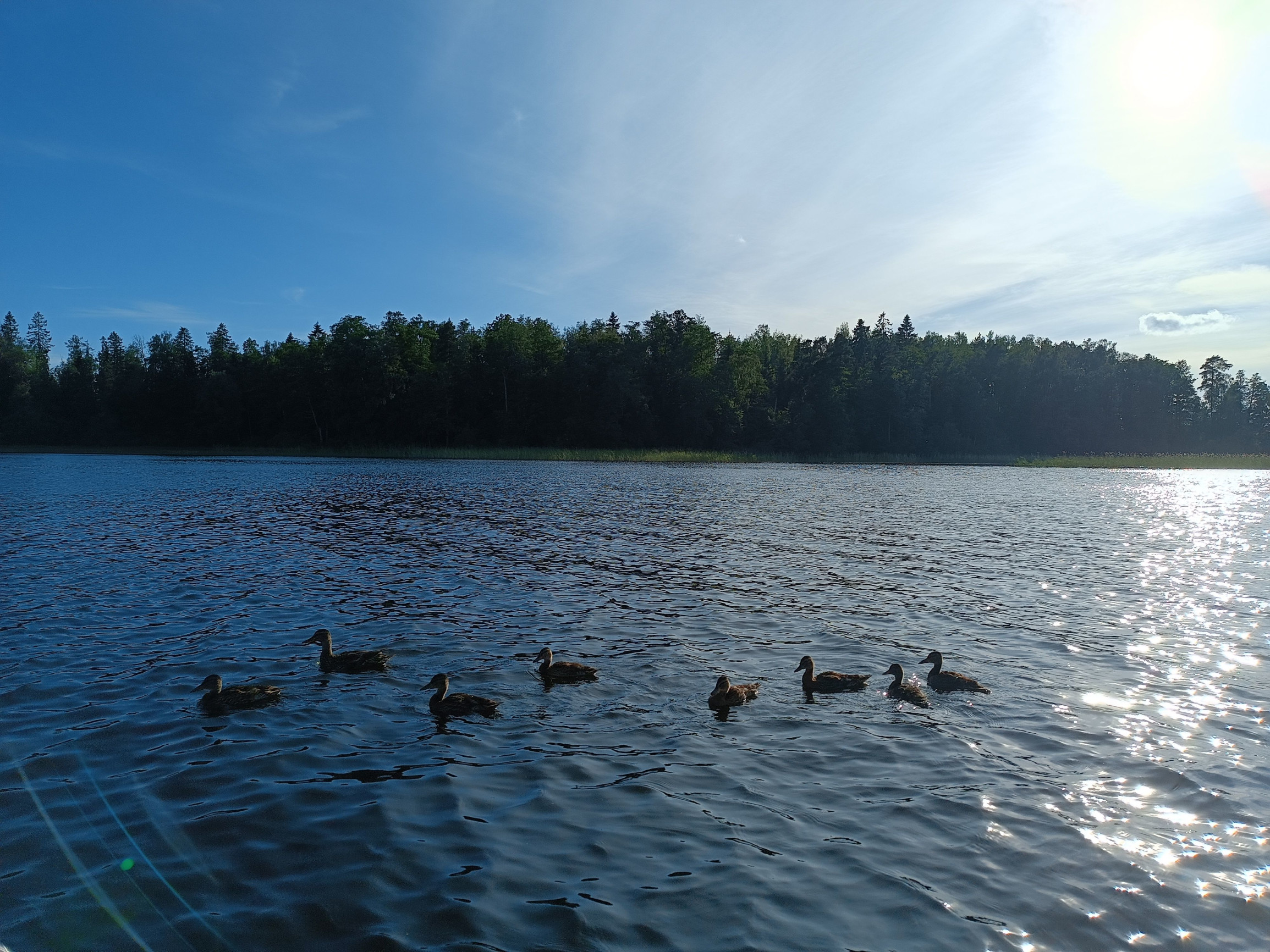 Вуокса – фотографии