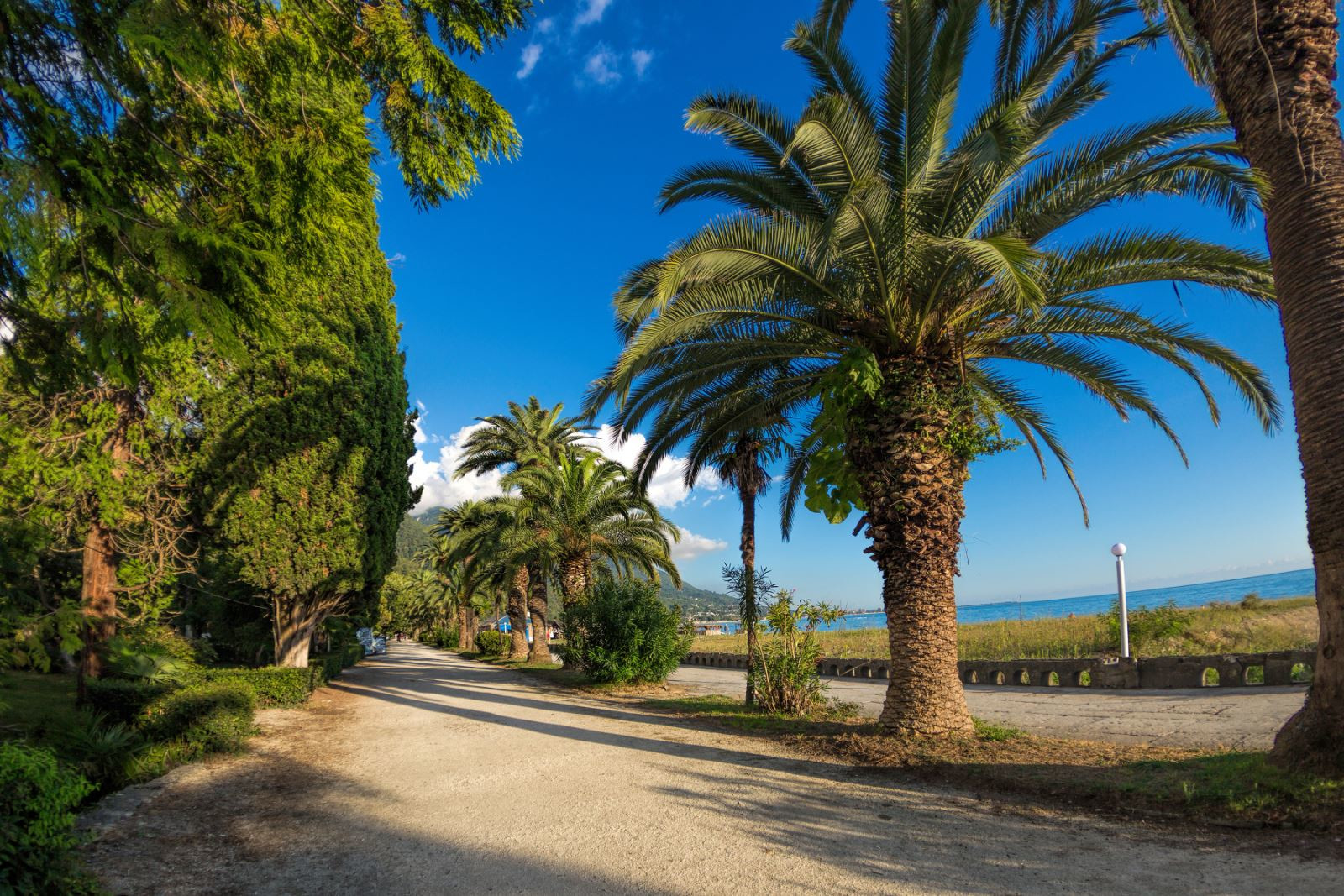 Солнечный день. Гагра – фотографии Абхазии