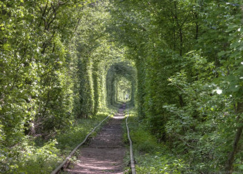 Тоннель любви рядом с посёлком Клевань, Ровно, Украина – фотографии Украины