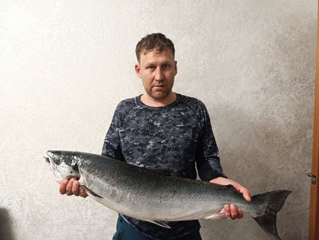 первая семга в 2025 – фотографии