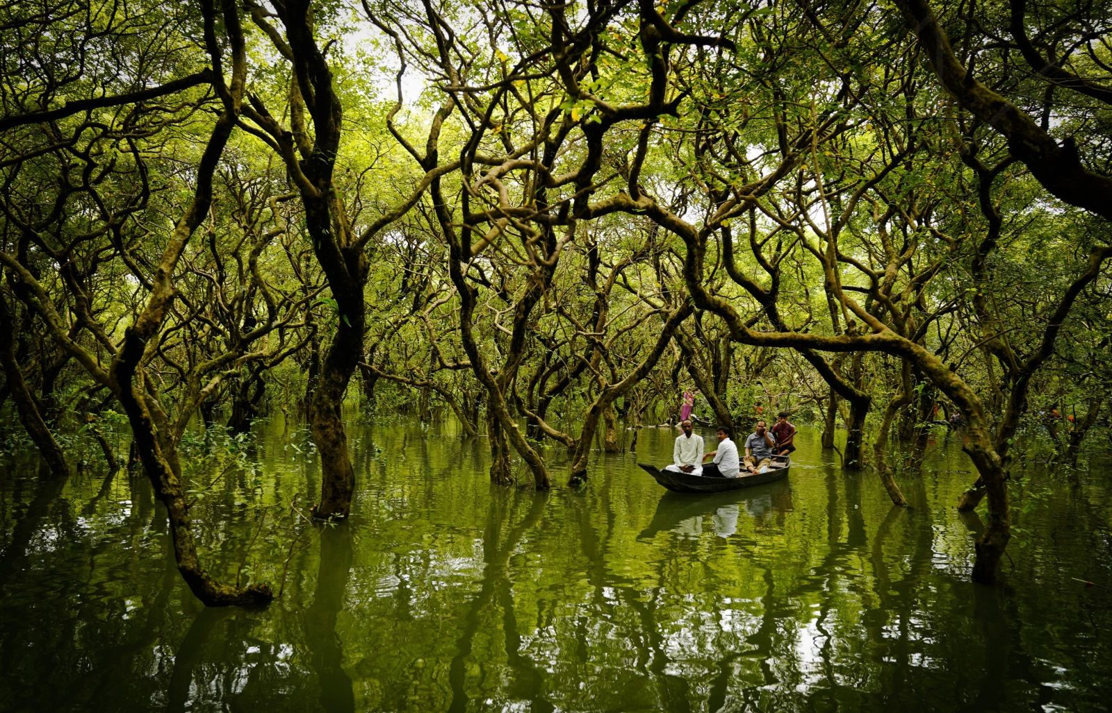 Сундарбаны (Sundarbans), крупнейший мангровый лес, фото 1 – фотографии Бангладеш