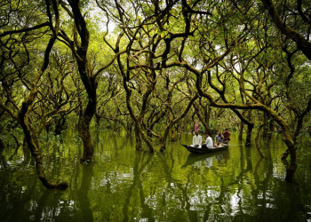 Сундарбаны (Sundarbans), крупнейший мангровый лес, фото 1 – фотографии Бангладеш