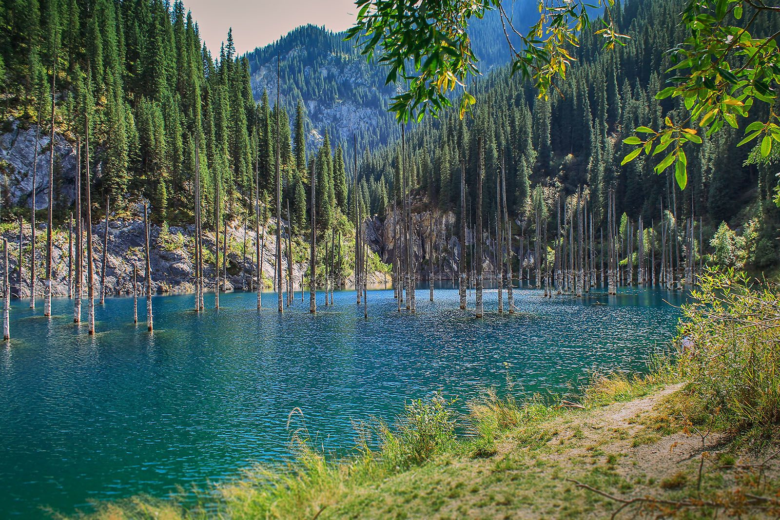 Озеро Каинди 14 – фотографии Казахстана