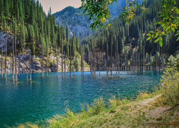 Озеро Каинди 14 – фотографии Казахстана