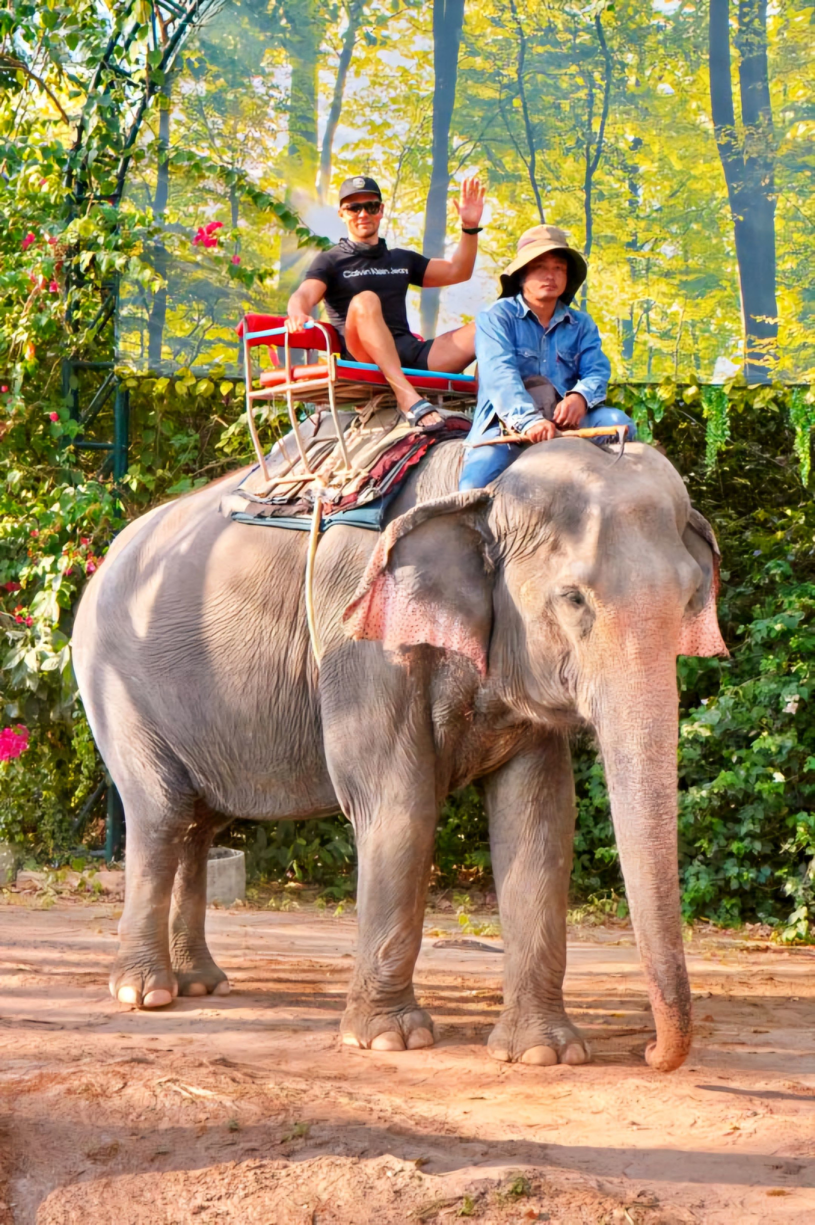 Верхом на Поне – фотографии