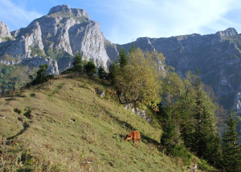 Окрестности Саирме – фотографии Грузии