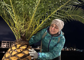 Адлер. Февраль 2025 – фотографии