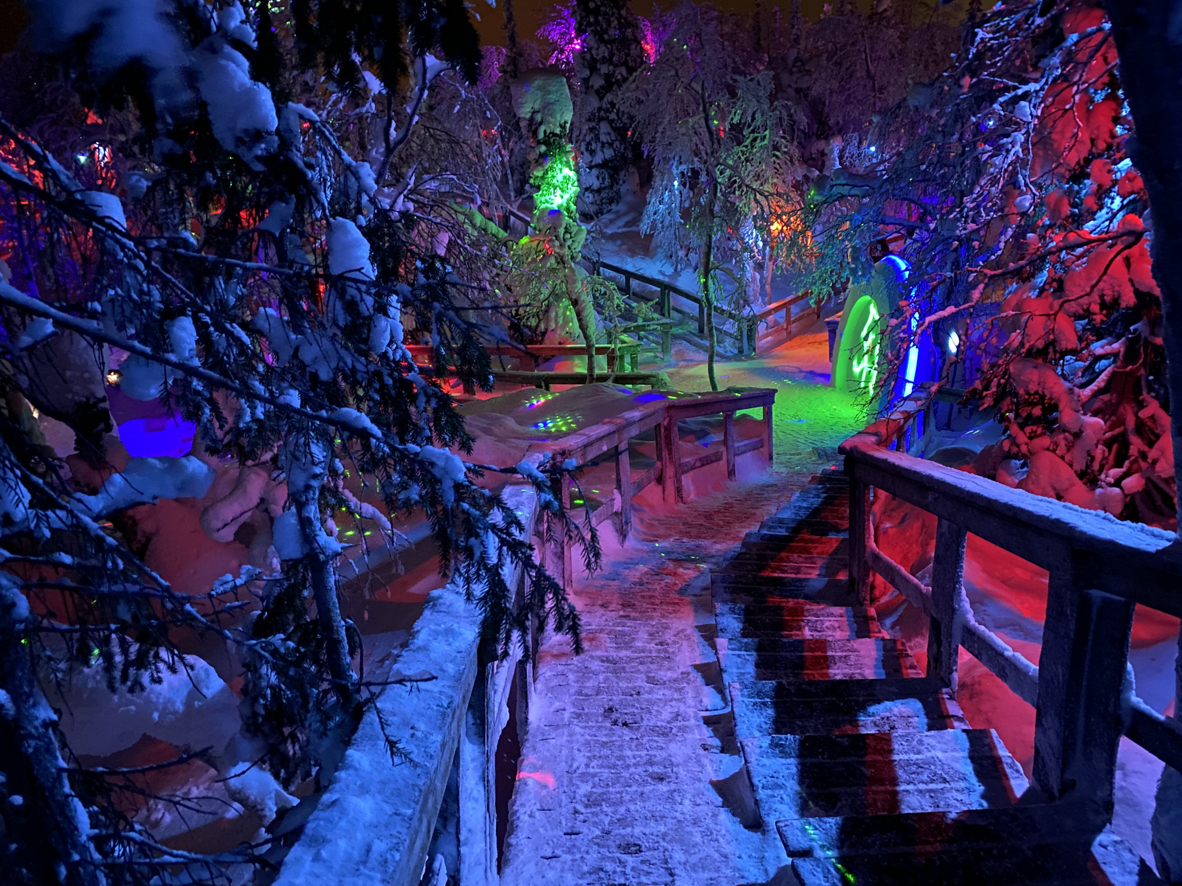 Тропинки в парке «Таинственный лес», Кировск, Мурманская область – фотографии России