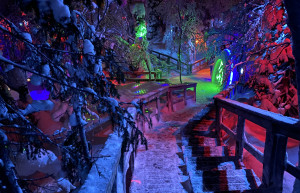 Тропинки в парке «Таинственный лес», Кировск, Мурманская область – фотографии России