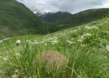 Муравейник и горы в ущелье Цмиаком, июнь 2022 – фотографии России