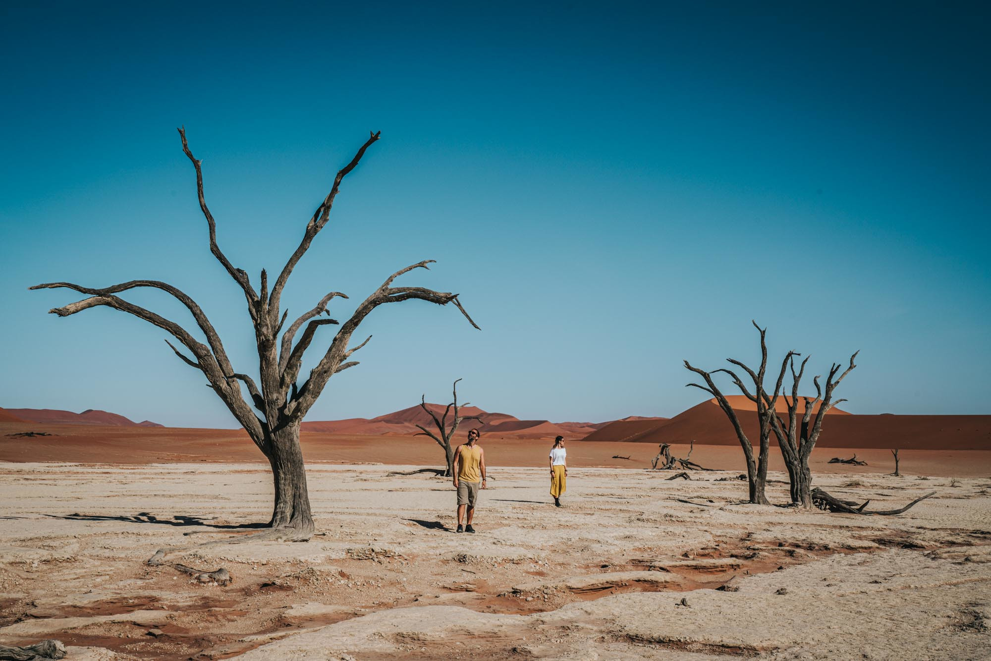 Туристы в мёртвой долины (Deadvlei) в Намибии – фотографии Намибии