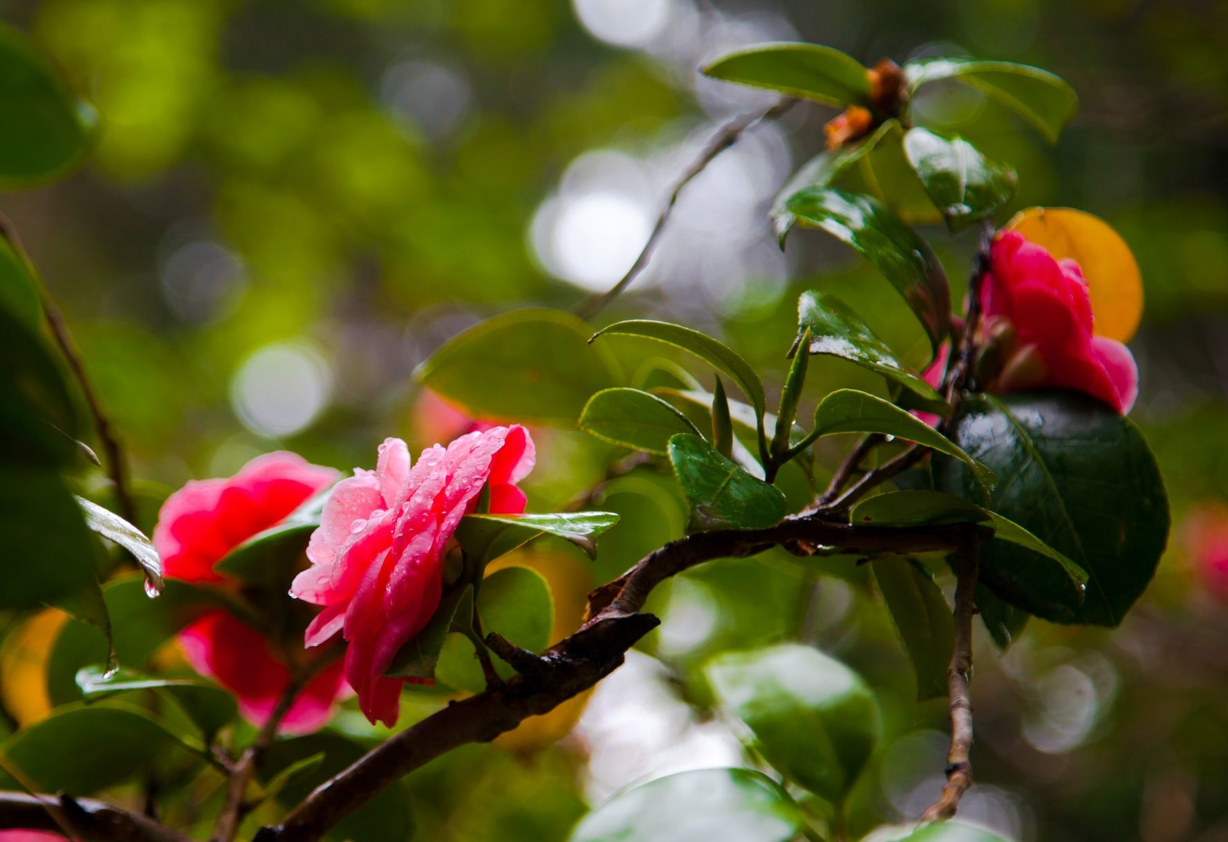 5 – фотографии