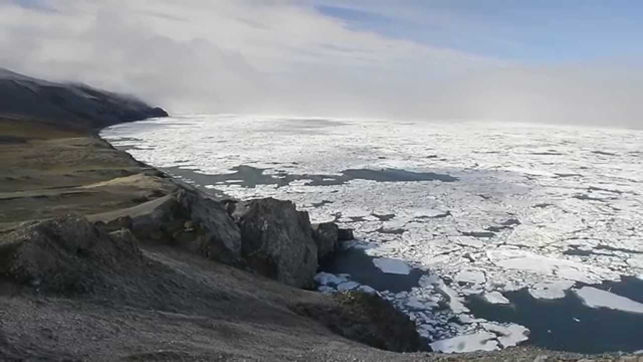 Остров Врангеля, Чукотка, Россия – фотографии России