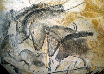 Доисторическое искусство в пещере Шове во Франции – фотографии Франции