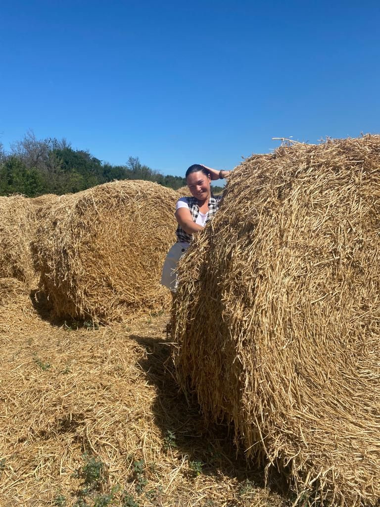 лето – фотографии