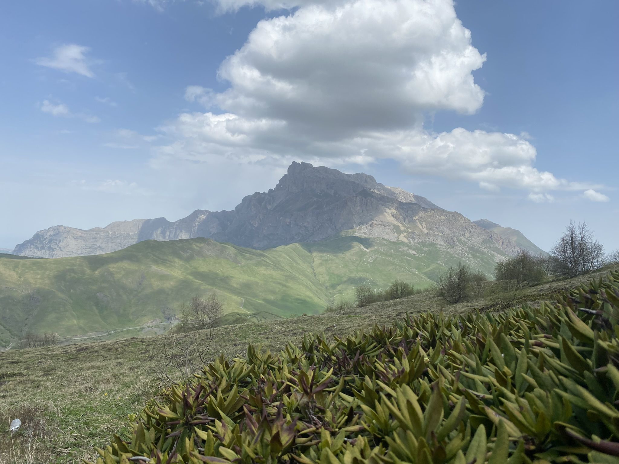 Пейзажи Северной Осетии, июнь 2022 – фотографии России