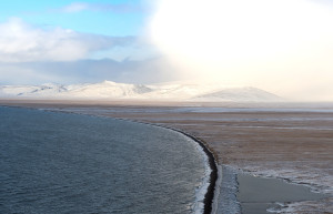 Остров Врангеля 13 – фотографии России