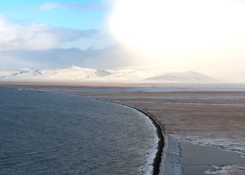 Остров Врангеля 13 – фотографии России