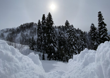 Природа Южного слона на Роза Хутор в феврале – фотографии России