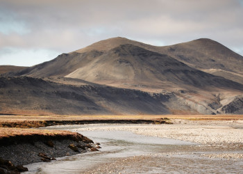 Остров Врангеля (Wrangel Island), Чукотка, Россия – фотографии России