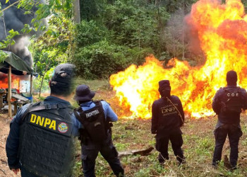 Уничтожение кокаиновой лаборатории в Национальном парке Пико-Бонито, Гондурас – фотографии Гондураса