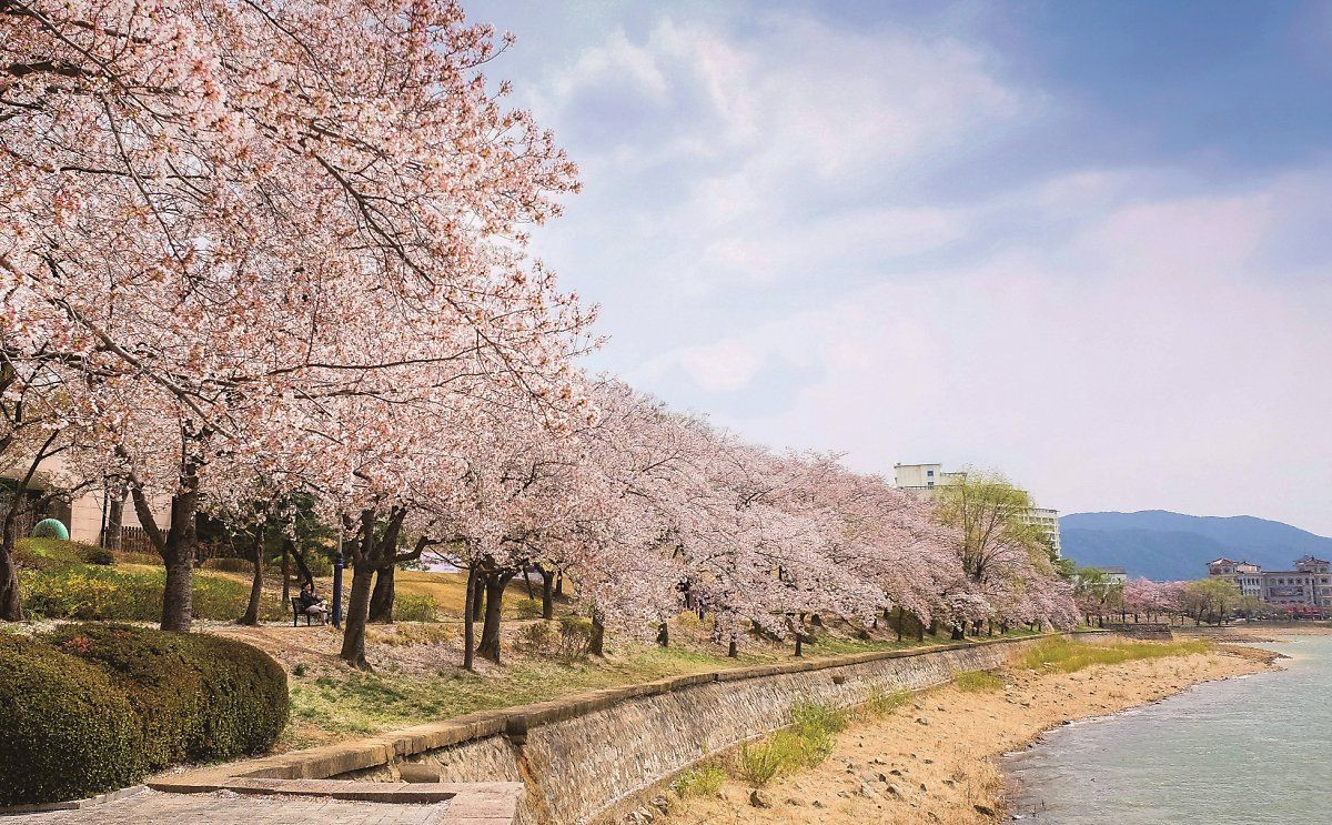Берег озера Бомун, Южная Корея – фотографии Южной Кореи