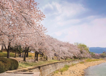 Берег озера Бомун, Южная Корея – фотографии Южной Кореи