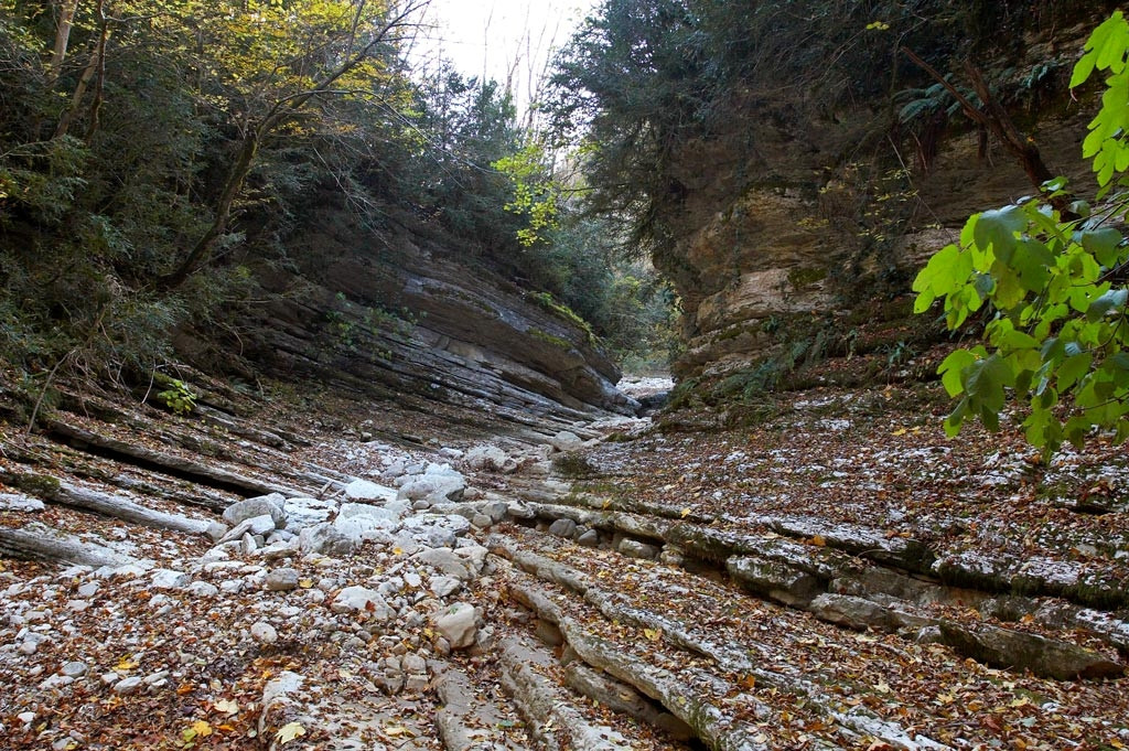 Каньен. Цандрыпш. Абхазия – фотографии Абхазии
