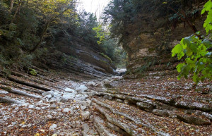 Каньен. Цандрыпш. Абхазия – фотографии Абхазии