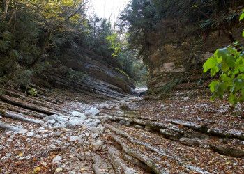 Каньен. Цандрыпш. Абхазия – фотографии Абхазии