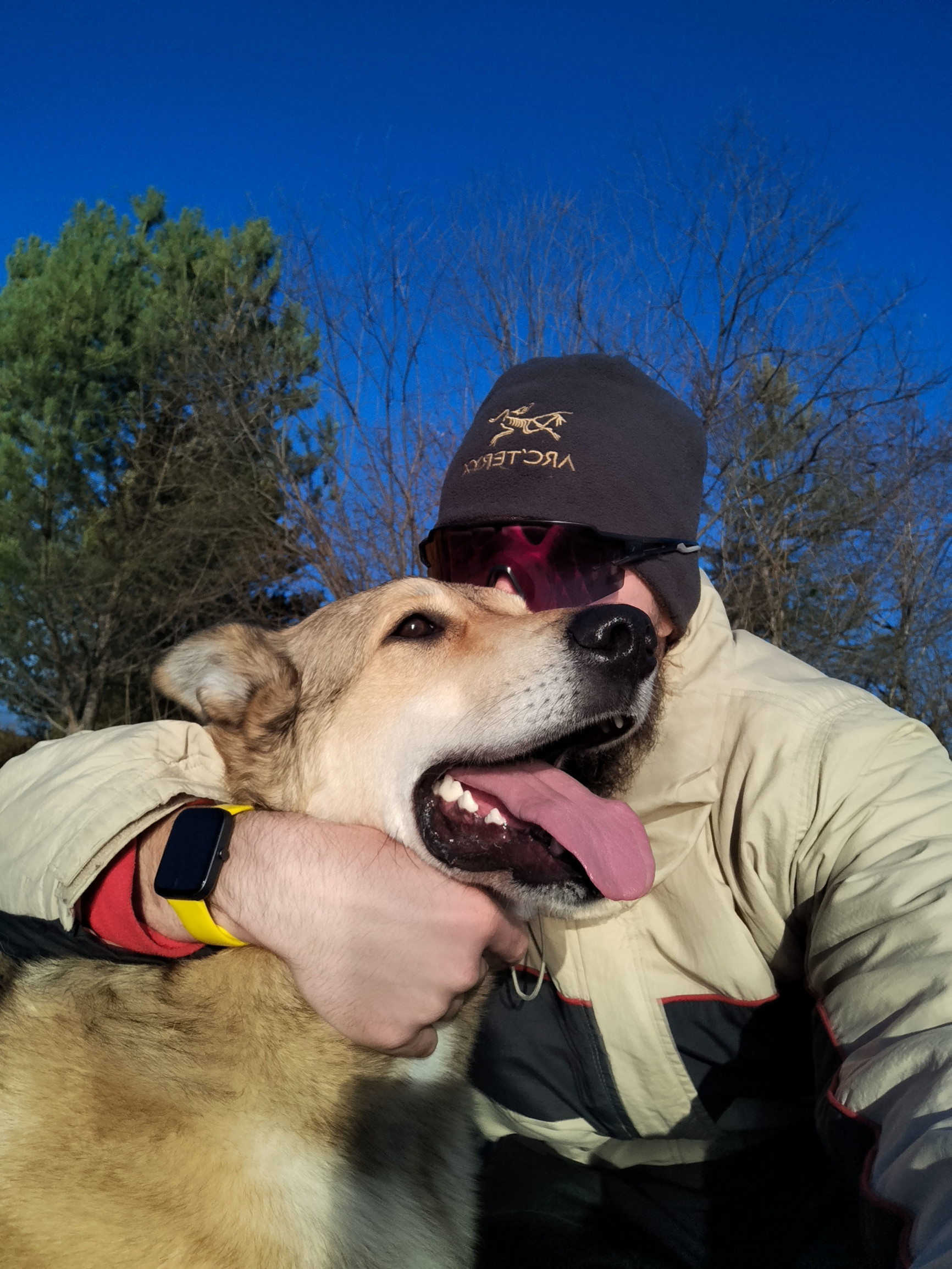 ? – фотографии