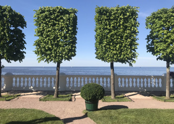 Петергоф, вид на залив – фотографии России