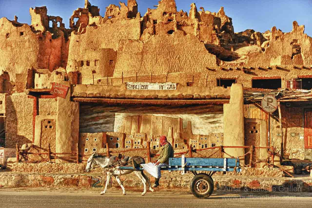 Египет оазис Египет оазис