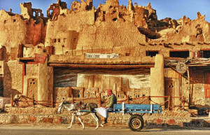 Оазис Сива 12 – фотографии Египта