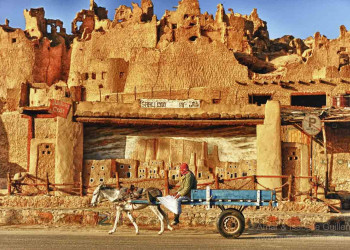 Оазис Сива 12 – фотографии Египта