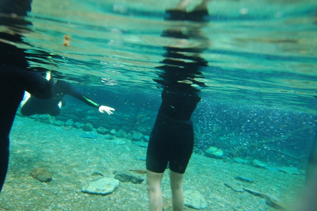 Река Прата (Rio da Prata) в Бониту – фотографии Бразилии