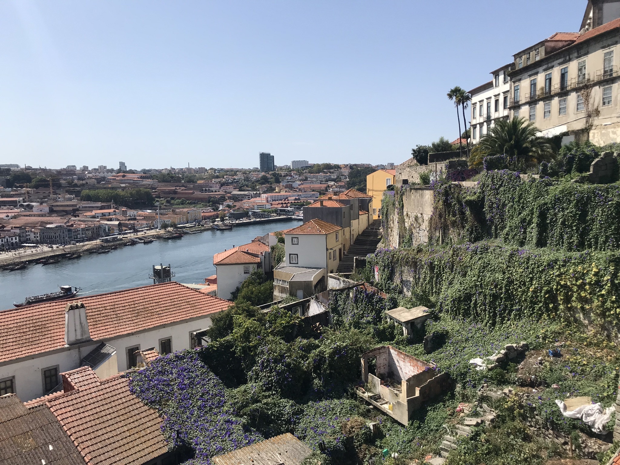 Вид на крыши домов и реку в Порту – фотографии Португалии