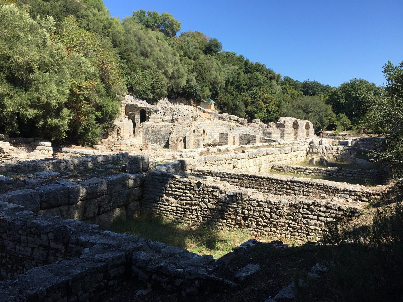 Каменные стены и лес. Бутринти. Албания – фотографии Албании