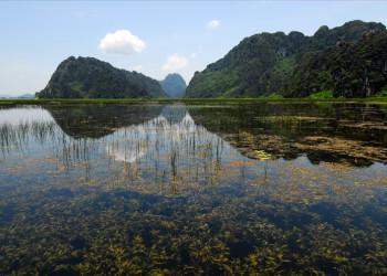 Природный заповедник Ван-Лонг – фотографии Вьетнама