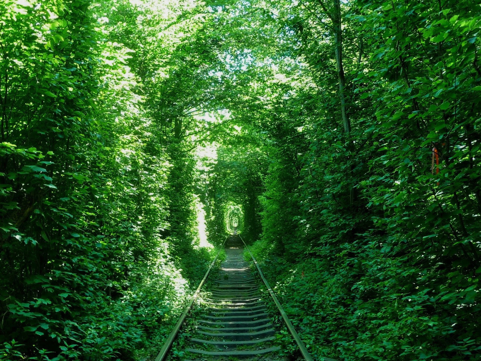 Тоннель любви, посёлок Клевань, Ровно, Украина – фотографии Украины