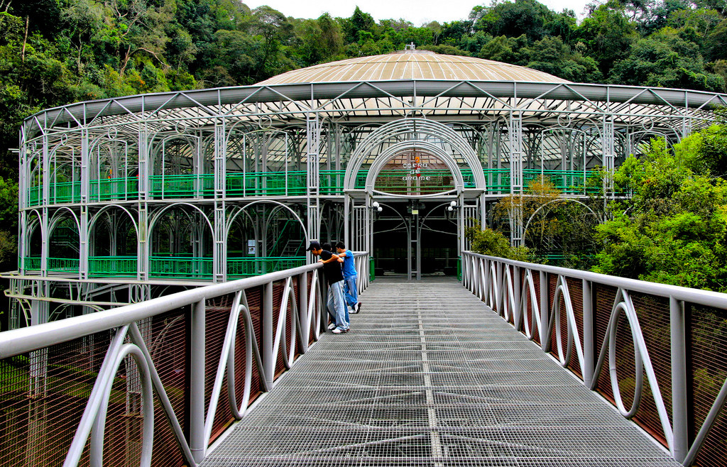 Опера-де-Араме (Opera de Arame) – фотографии Бразилии