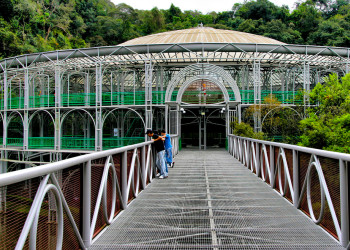 Опера-де-Араме (Opera de Arame) – фотографии Бразилии