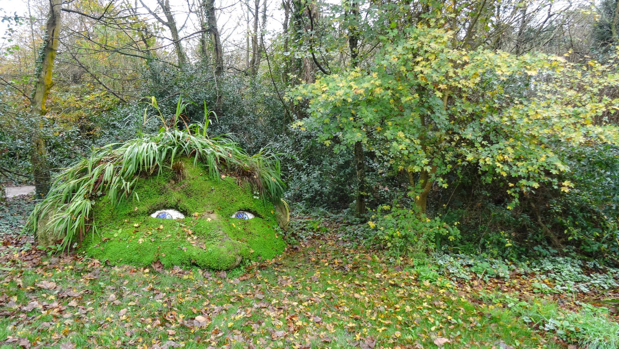 Затерянные сады Хелигана - это настоящий ботанический рай – фотографии Великобритании