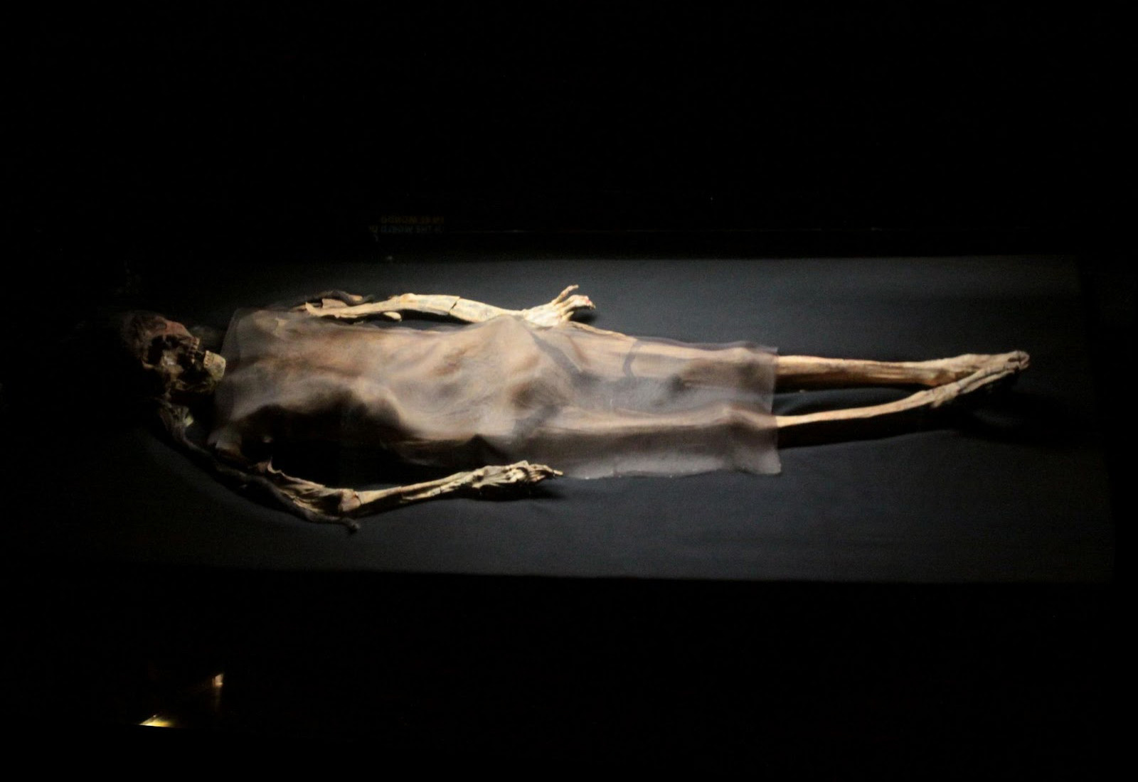 Мумия Синьоры-де-Као (Sen'ora de Cao) – фотографии Перу