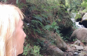 Вашишт – фотографии Индии