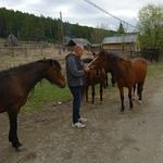 алтай – фотографии