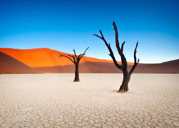 Мёртвая долина (Deadvlei) в Намибии – фотографии Намибии