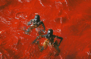 Сенегальское розовое озеро Lac Rose, фото 2 – фотографии Сенегала